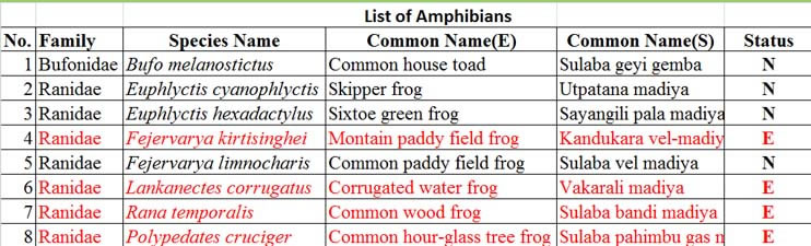 fauna list_Amphi