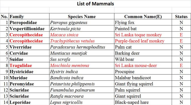 fauna list_Mammals